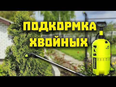 ВЕСЕННЯЯ ПОДКОРМКА ХВОЙНЫХ.
