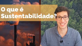 O que é Sustentabilidade? Perspectiva de um Engenheiro Ambiental