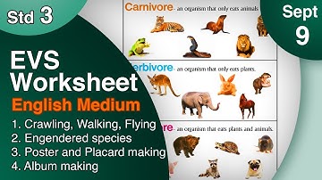 Class 3 EVS Worksheet English Medium September 9 itsvicters