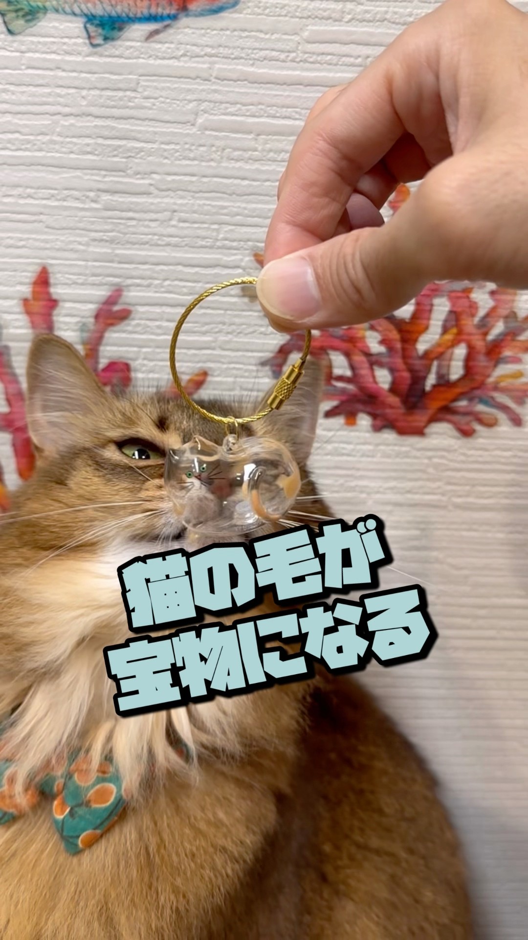 Cat goods that turn cat hairballs into treasures - YouTube