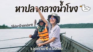 ใช้ปลาร้าตกปลากลางแม่น้ำโขง! | โขงเจียม จ.อุบลราชธานี