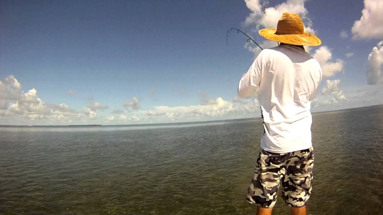 Marathon,Fl Fishing 7/30/11 8/6/11 YouTube