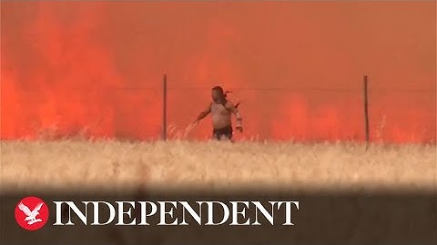 Choice or chance: The science of 