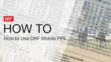 How To | How to Use DRF Mobile PPs