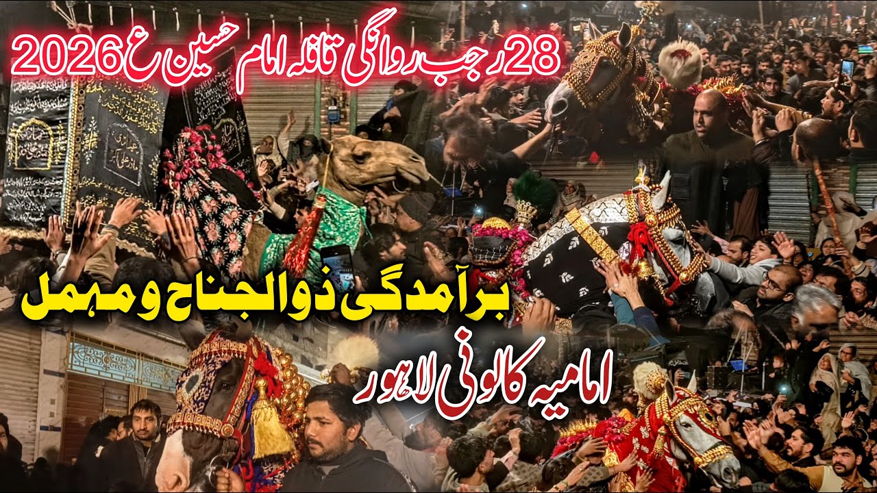 Baramdagi Zuljanah | 28 Rajab 2026 Imamia Colony Lahore | Rawangi | Qafila Imam Hussain (A.S)