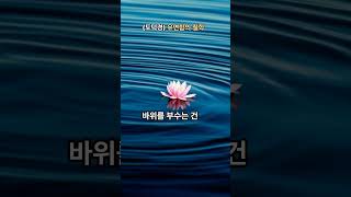 (도덕경) 유연함의 철학                  #명언 #고전 #도덕경 #유연함 #긍정의말 #삶의지혜  #좋은글 #공감글귀  #위로의말 #동기부여 #오디오북