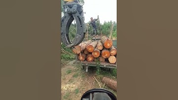 Wood grabber loading process- Good tools and machinery make work easy
