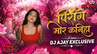 Pirage Pirage Mor Kaniha  || Train Remix || Cg Trending Song || Dj Ajay X Masum Audio 