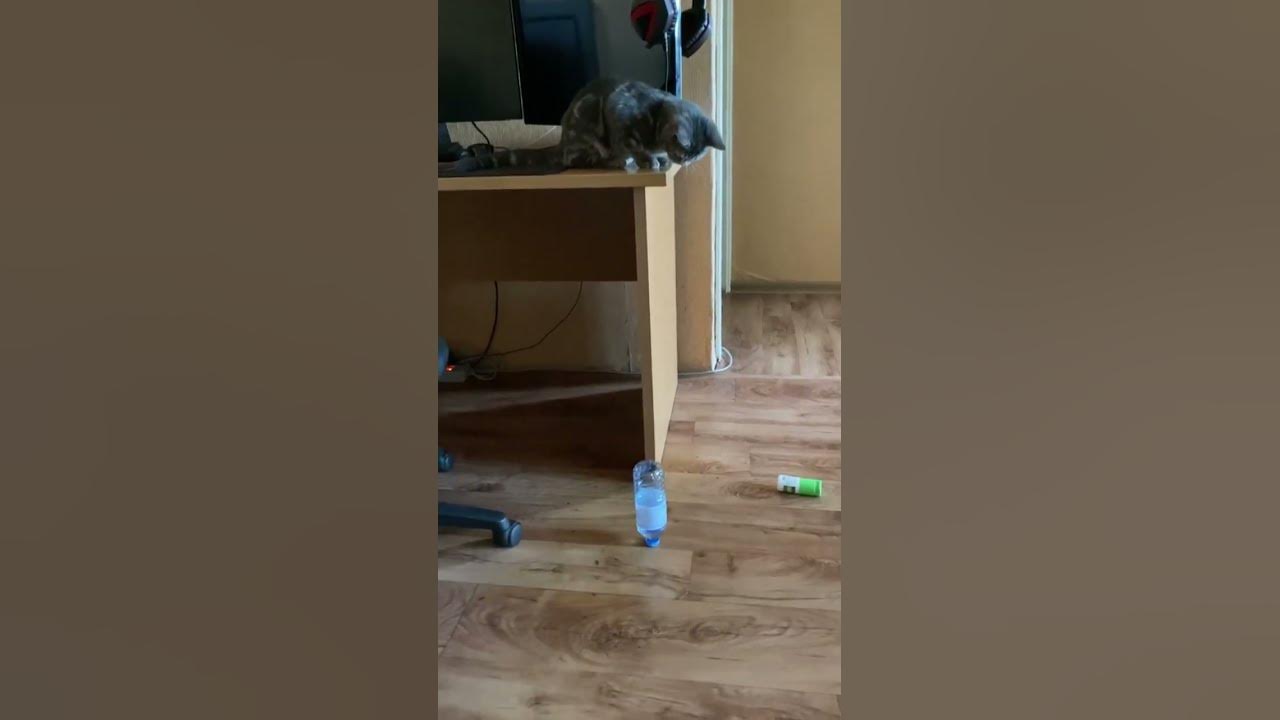 Санечка снимаешь?😏 - YouTube