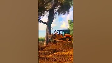 Bulldozer Vs tree#bulldozer #tree