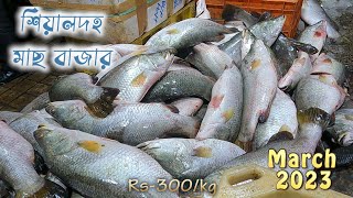 শিয়ালদহ মাছের বাজার 2024 || Fish price Kolkata || Kolkata fish market#fishmarket#sealdah #kolkata