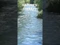 Nature’s Therapy is a Gentle Stream And The Calm Sounds