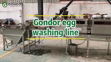 🥚 Next-Level Egg Sanitation! Fully Automatic Egg Washer Line | Boost Your Output!#egg #eggwashing