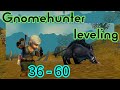 Leveling a gnome hunter on turtle wow 36-60