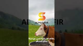 مع شركة سائح المسافر رحلات شهر العسل بأفضل shourts