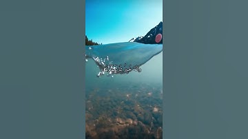 واتس اب قران كريم القارئ شريف مصطفى (سوره المنافقون)