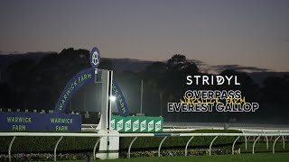 Overpass The 20M Everest Gallop