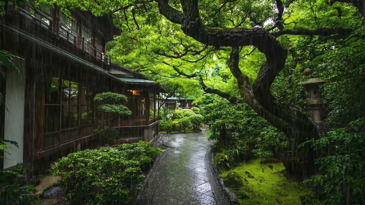 Gentle Night Rain Ambience for Sleeping Natural Rain Sounds to Calm the Mind