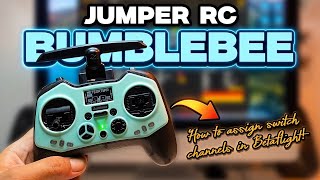 JUMPER BUMBLEBEE - How to assign switch channels in BetaFlight as a beginner!