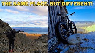 My and Husky's Most Epic Mountain Bike Adventure of 2023 (Full Movie)