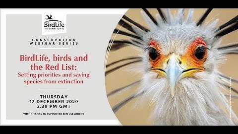 Birds and the Red List: IUCN Red List update 2020 | BirdLife International
