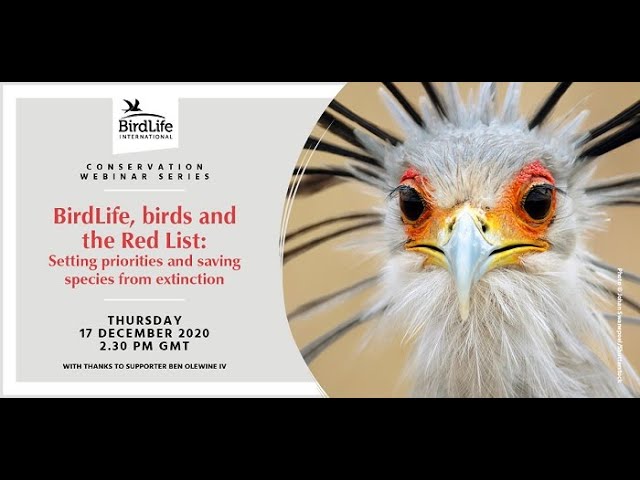 Birds and the Red List: IUCN Red List update 2020