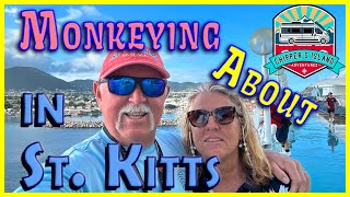 Monkeying About in St. Kitts by Chipper's Island Adventures 112 views 6 days ago 15 minutes