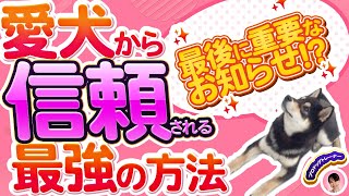 【犬　しつけ】信頼される飼い主になるために☆ 相思相愛を作る正しいしつけの方法とは！？