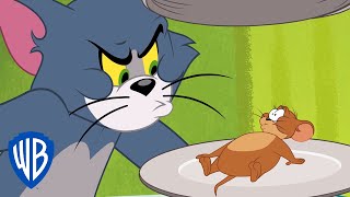 Tom & Jerry in New York | Room Service | WB Kids