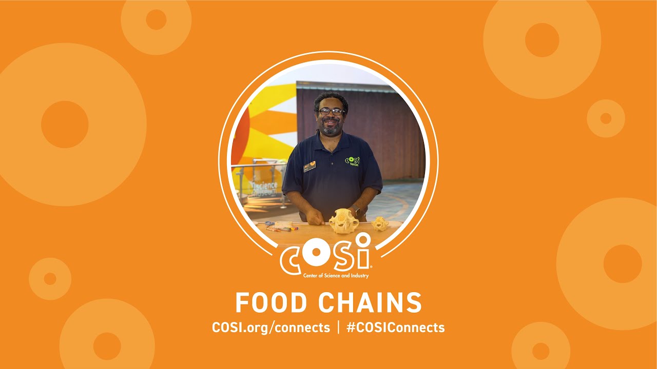 COSI Connects: Food Chains