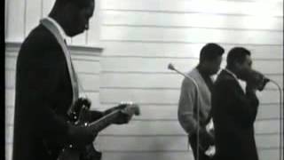 Hound Dog Taylor & Little Walter - Wild About You Baby