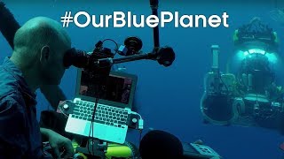 Discovering underwater lake ecosystems for Blue Planet II #OurBluePlanet | BBC Earth