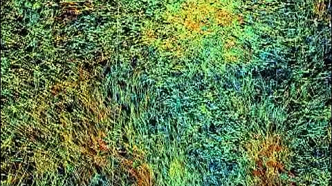 Lagrangian dispersion