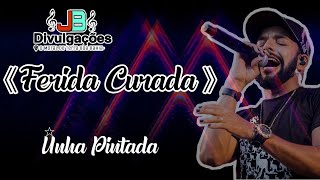 UNHA PINTADA - FERIDA CURADA (MÚSICA NOVA)