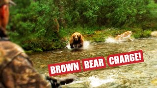 Fred Eichler Brown Bear Charge.......The Full Story