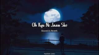 Oh Kyu Ni Jaan Ske  | Slowed & Reverb | Ninja | Aeathetic Lyrics