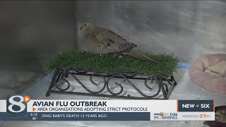 Avian Flu Outbreak Forcing Local Animal Organizations To Adopt Mitigation Measures For Birds