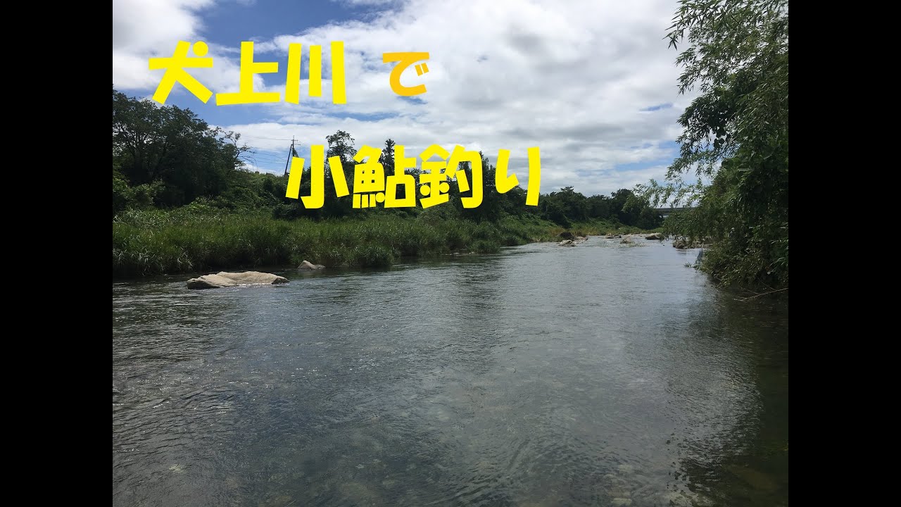 小鮎釣り 犬上川22 7 23 Youtube