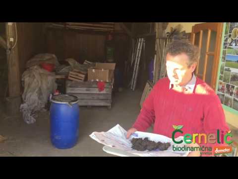 Video: Kako Narediti Pusto Krompirjevo Enolončnico