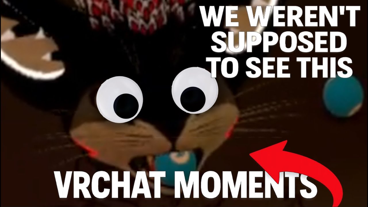 These VRChat Moments Were NOT Supposed to Happen - YouTube