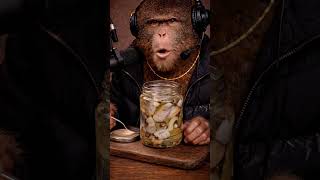 Babcia przeczytała komentarz… więc są śledzie 🐟 ASMR #asmrpolska #foodasmr #babeczki #monkeyasmr