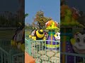 Second-hand Bee Themed Self-Control Bounce Ride