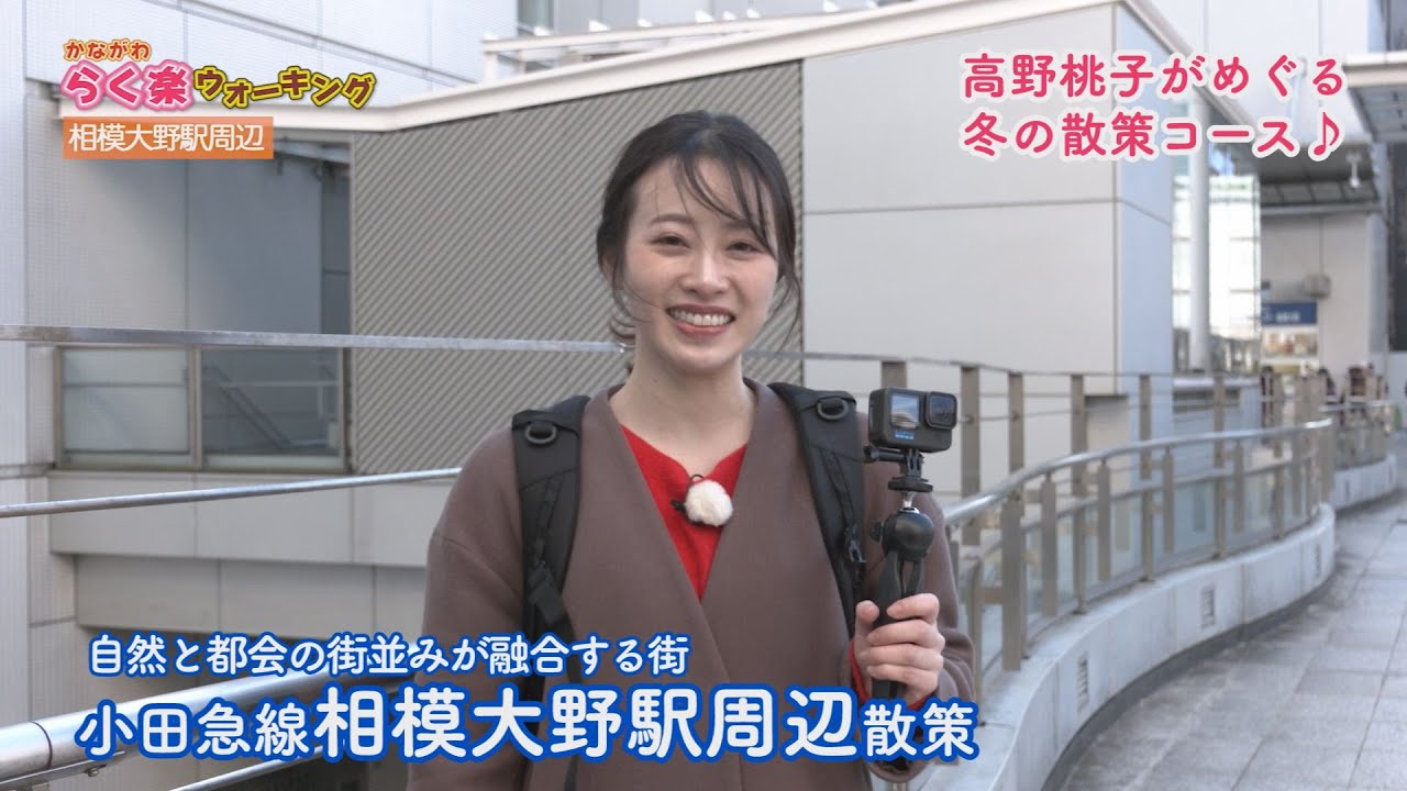 【らく楽ウォーキング】相模大野駅周辺