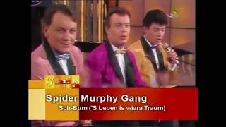 "Legendary" Spider Murphy Gang performs Sch-Bum 'S leben is wiara traum