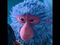 Kubo found out the monkey was his mom.❤️🐵#shorts #viral #trending #shortvideo