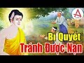 Kể Truyện Đêm Khuya"Nhờ Tâm Thiện Mà Chàng Trai Tránh Được Đại nạn"#rất Hay