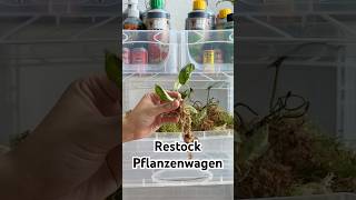 Pflanzenwagen Restock
