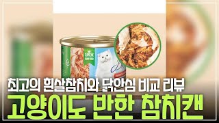 진짜 맛있어? 고양이 입맛 저격한 비스트로 캔 3종 테스트