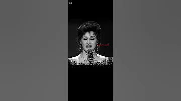 في يوم وليلة جمال ورده 
