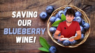 Blueberry Wine (Part 2) | Fixing a Stuck Fermentation, Explained